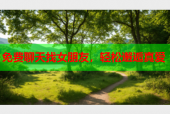 免费聊天找女朋友，轻松邂逅真爱