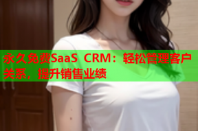 永久免费SaaS CRM:轻松管理客户关系,提升销售业绩