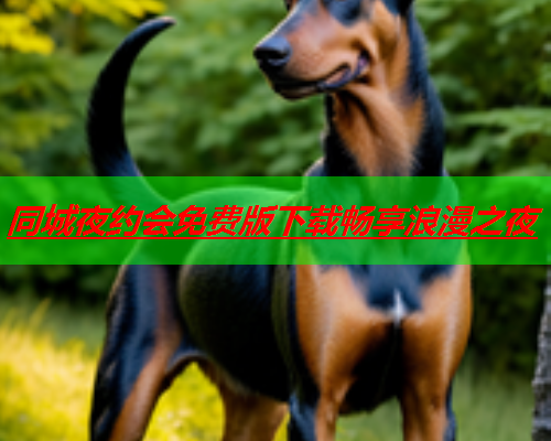 同城夜约会免费版下载畅享浪漫之夜  第2张 同城夜约会免费版下载畅享浪漫之夜  第2张