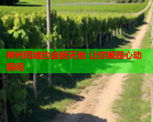 柳州同城约会新天地 让你邂逅心动瞬间  第2张 柳州同城约会新天地 让你邂逅心动瞬间  第2张