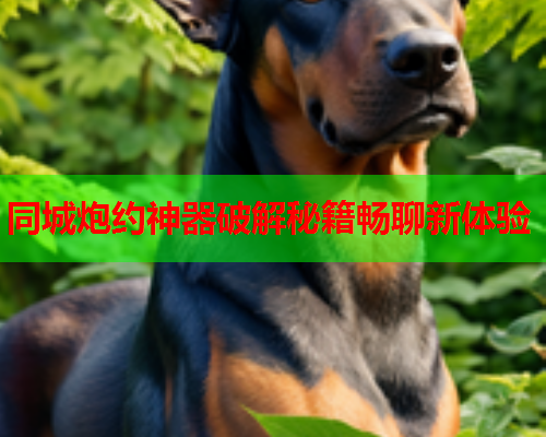 同城炮约神器破解秘籍畅聊新体验  第1张 同城炮约神器破解秘籍畅聊新体验  第1张