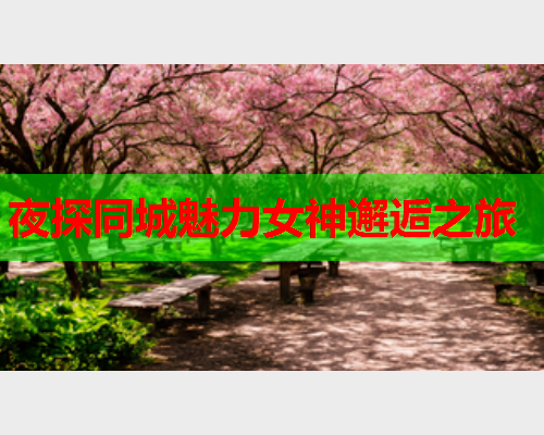 夜探同城魅力女神邂逅之旅  第2张 夜探同城魅力女神邂逅之旅  第2张