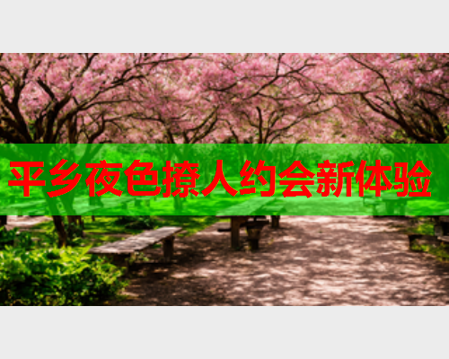 平乡夜色撩人约会新体验  第2张 平乡夜色撩人约会新体验  第2张