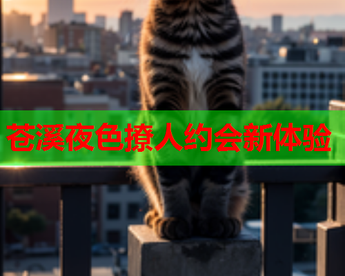 苍溪夜色撩人约会新体验  第1张 苍溪夜色撩人约会新体验  第1张