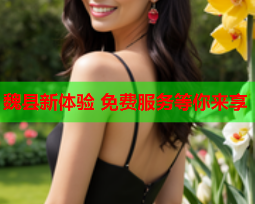 魏县新体验 免费服务等你来享  第1张 魏县新体验 免费服务等你来享  第1张
