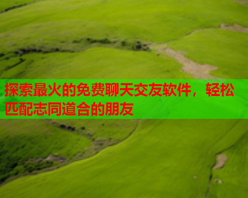 探索最火的免费聊天交友软件,轻松匹配志同道合的朋友  第2张 探索最火的免费聊天交友软件,轻松匹配志同道合的朋友  第2张